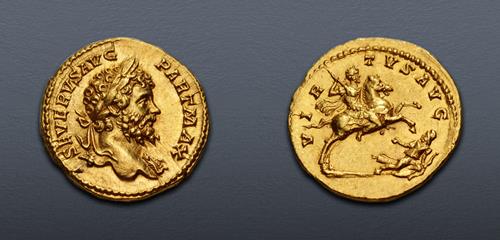 Lot 505 image