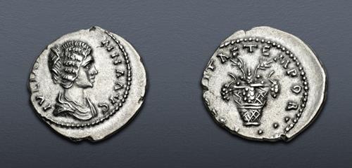 Lot 509 image