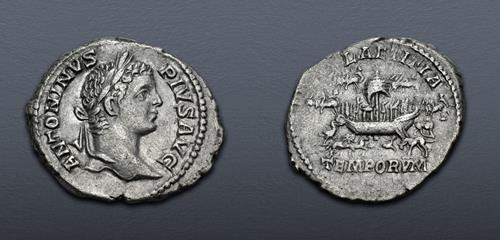 Lot 511 image