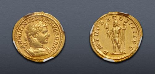 Lot 513 image