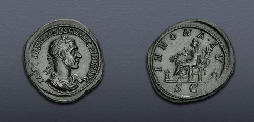 Lot 515 image