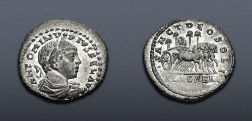 Lot 517 image