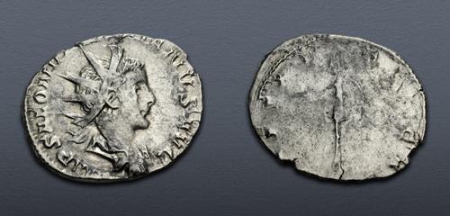 Lot 532 image