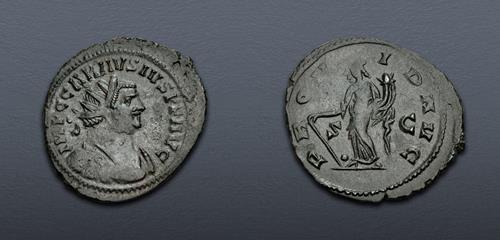 Lot 537 image