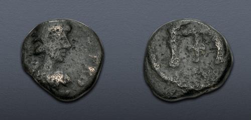 Lot 559 image