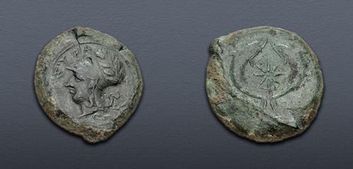 Lot 11 image