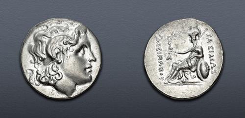 Lot 13 image