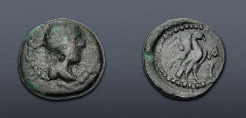 Lot 80 image
