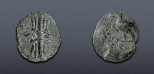 Lot 257 image