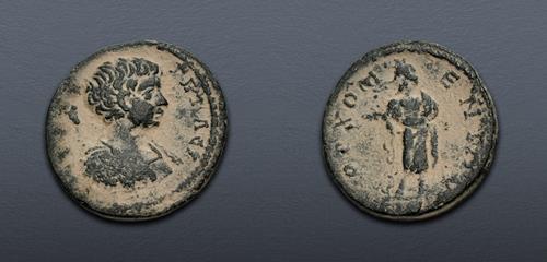 Lot 310 image