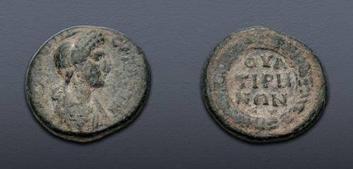Lot 337 image