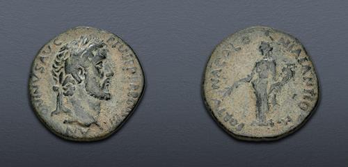 Lot 367 image