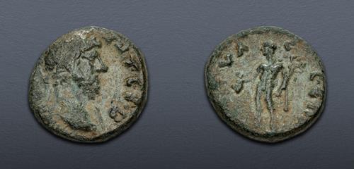 Lot 371 image