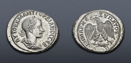 Lot 445 image
