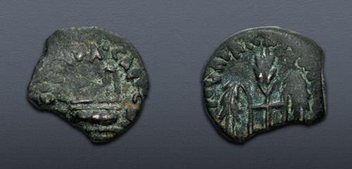 Lot 456 image
