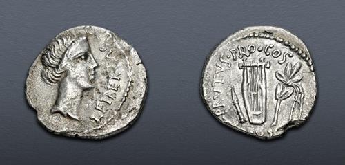 Lot 495 image