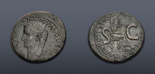 Lot 501 image