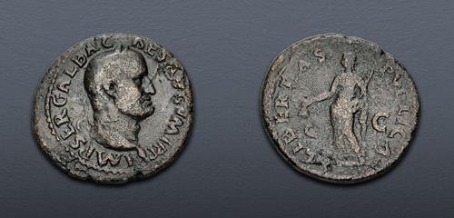 Lot 511 image