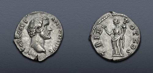Lot 529 image