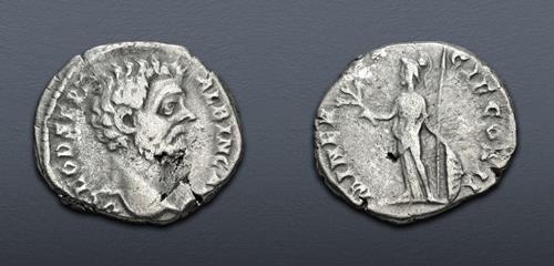Lot 558 image