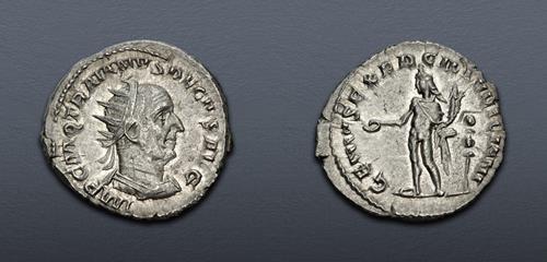 Lot 591 image