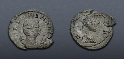Lot 594 image