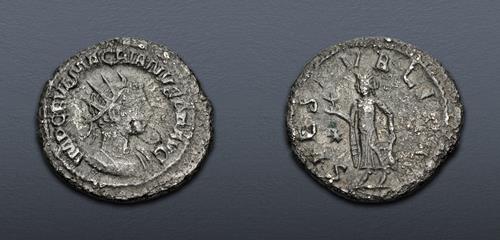 Lot 595 image