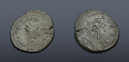 Lot 599 image