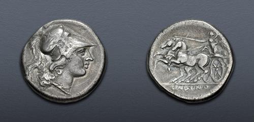 Lot 37 image