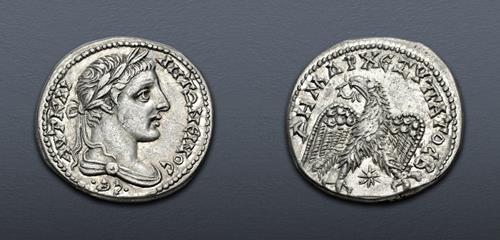 Lot 515 image