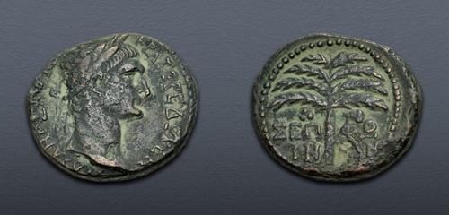 Lot 407 image