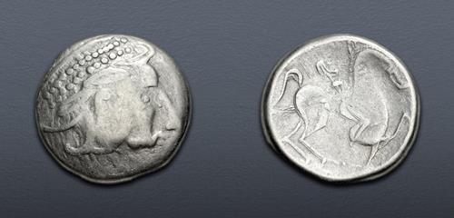Lot 5 image