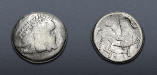 Lot 7 image