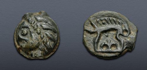 Lot 11 image