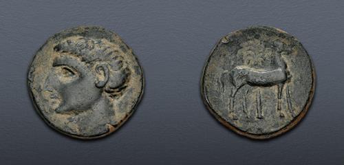 Lot 13 image
