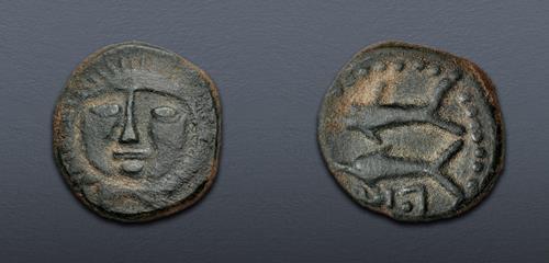 Lot 14 image