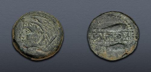 Lot 19 image