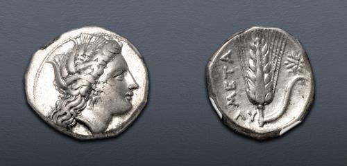 Lot 21 image