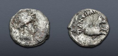 Lot 101 image
