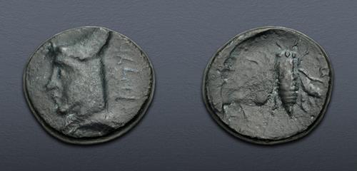 Lot 195 image