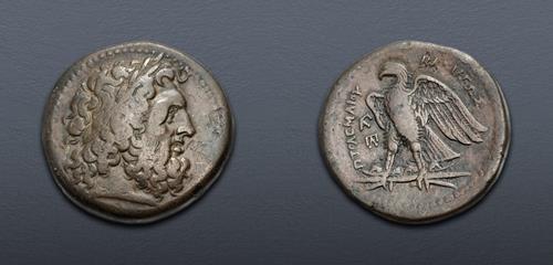 Lot 254 image