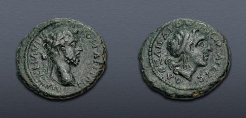 Lot 305 image