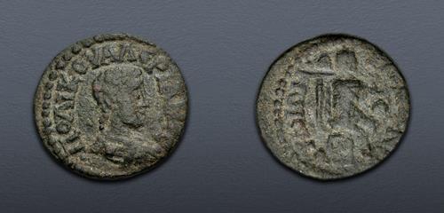 Lot 313 image