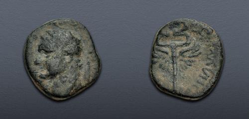 Lot 359 image