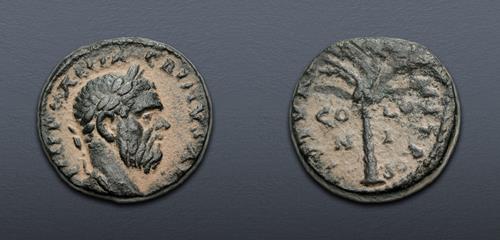 Lot 377 image