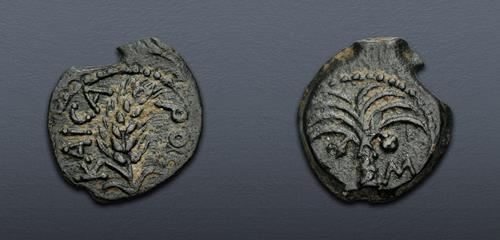 Lot 381 image