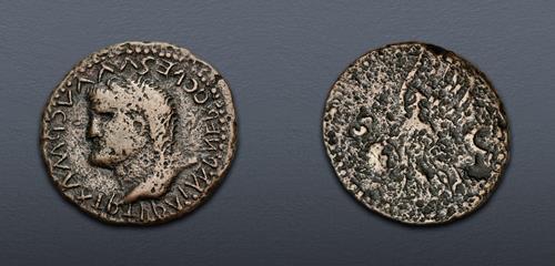 Lot 443 image