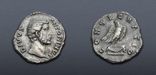 Lot 488 image
