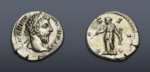 Lot 494 image