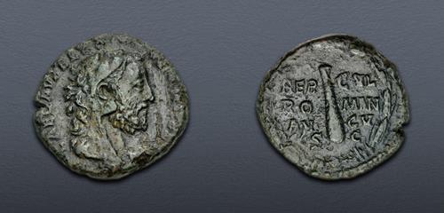 Lot 503 image